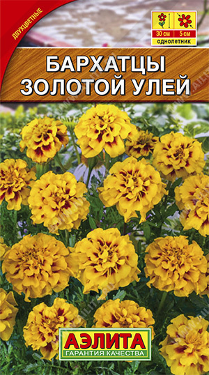 Бархатцы Золотой улей 0,1г ц/п (Аэлита) 30см/5см 