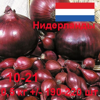 Лук севок Кармен 10/21 20кг/м (+/- 5%) (Россия)