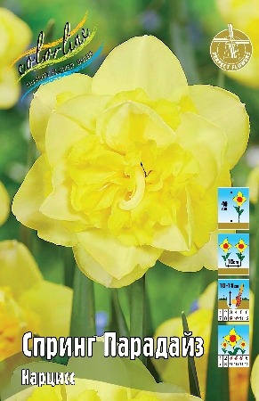 Нарцисс Спринг Парадайз 12/14 1шт (КолЛайн) 5шт/уп