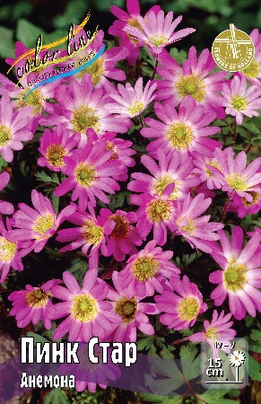 Анемона Пинк Стар 1шт (КолЛайн) 10шт/уп