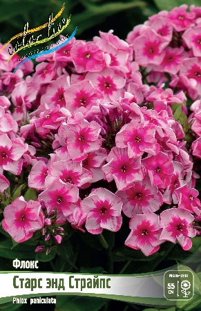 Флокс Старс Энд Страйпс 1шт (КолЛайн) 2шт/уп