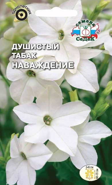 Табак душистый Наваждение (белый) 0,1г ц/п (Седек)