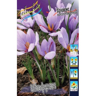 Крокус Шафран посевной 1шт (КолЛайн) 10шт/уп