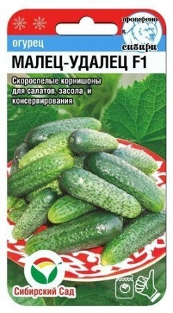 Огурец Малец-удалец F1 7шт (СибСад) Новинка