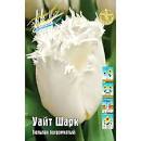 Тюльпан Уайт Шарк 1шт (КолЛайн) 5шт/уп