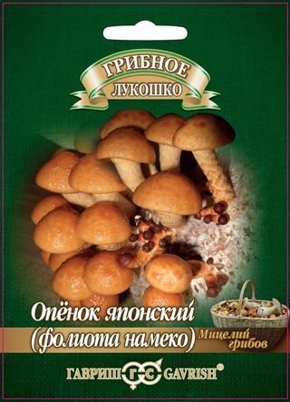 Мицелий грибов Опенок японский Фолиото намеко 12шт (Гавриш)