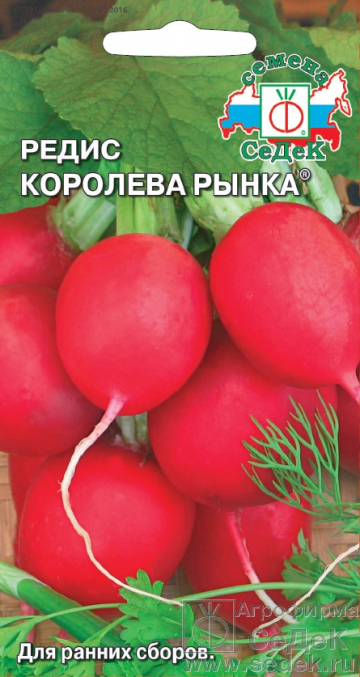 Редис Королева рынка 3г ц/п (Седек)