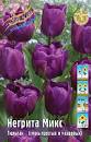 Тюльпан Негрита Микс 1шт (КолЛайн) 6шт/уп