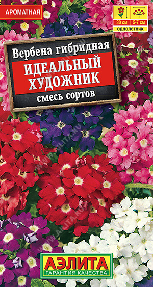 Вербена Идеальный художник, смесь 40шт ц/п (Аэлита) гибридная