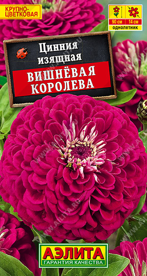 Цинния Вишневая королева 0,3г ц/п (Аэлита)