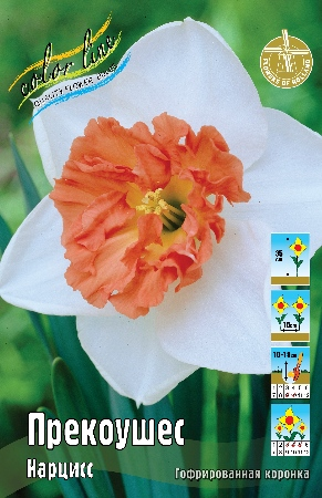 Нарцисс Прекоушес 1шт (КолЛайн) 3шт/уп