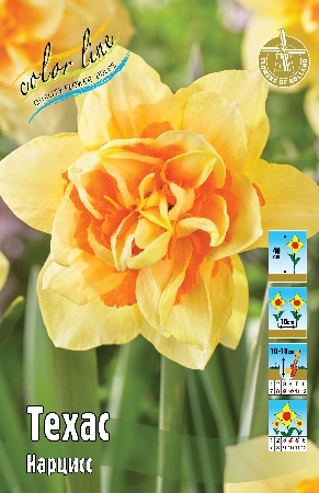 Нарцисс Техас 1шт (КолЛайн) 5шт/уп