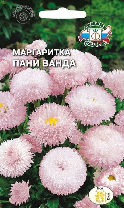 Маргаритка Панни Ванда 0,05г ц/п (Седек) св.розовая