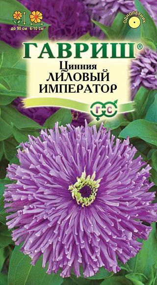Цинния Лиловый император 0,2г ц/п (Гавриш) Лаванд.грезы 