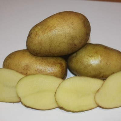 Картофель Командор фас.2кг/20кг/м Элита ср/ранняя, кожура желтая, мякоть желтая