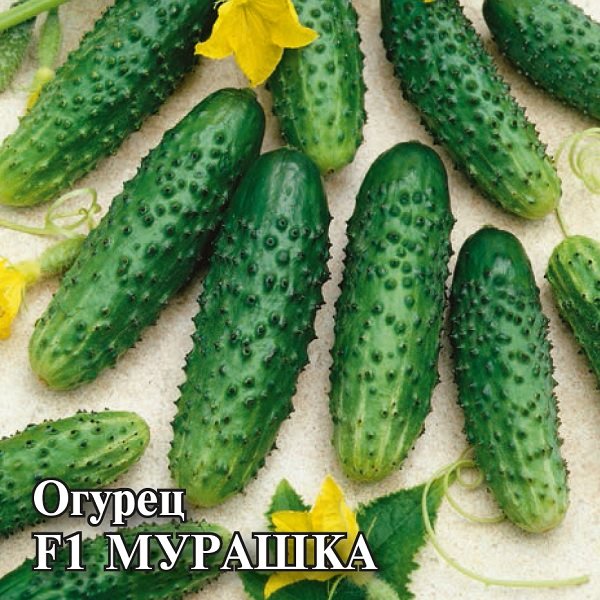 Огурец Мурашка F1 100шт (Гавриш)