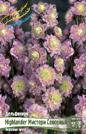 Дельфиниум Мистери Сенсейшн 1шт (КолЛайн)