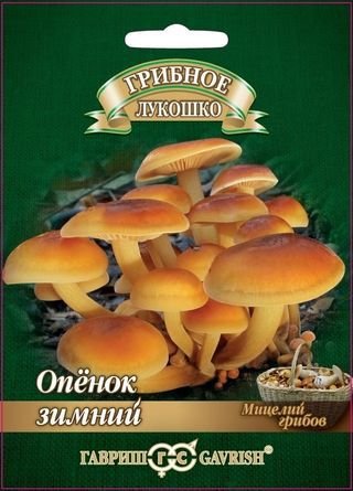 Мицелий грибов Опенок зимний 12шт ц/п (Гавриш)