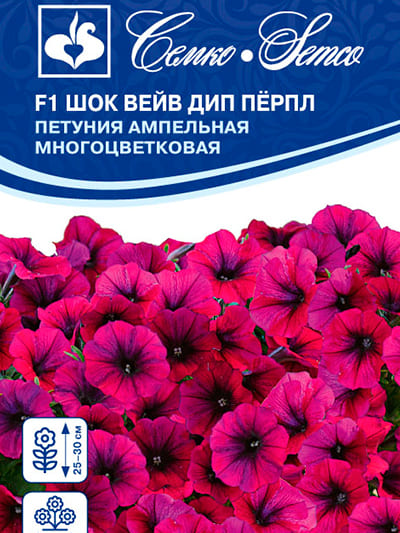 Петуния Шок Вейв Дип Перпл F1 4шт (Семко)