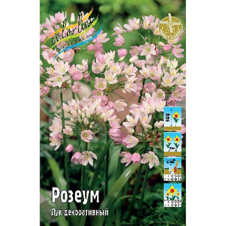 Лук декоративный Розеум  5/+ 1шт (КолЛайн) 10шт/уп