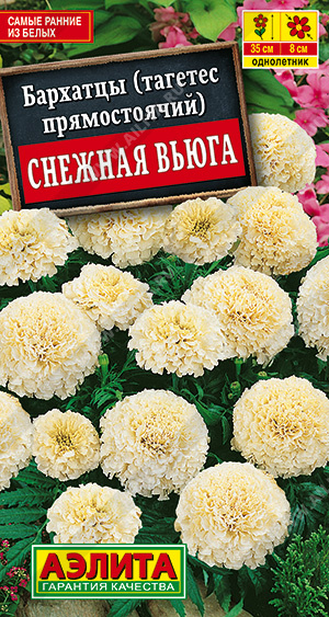 Бархатцы Снежная вьюга ц/п (Аэлита) Новинка