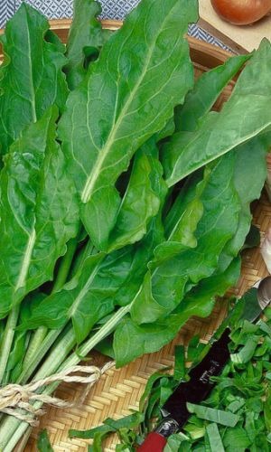 Щавель Бельвильский 1кг (ПрСидс)