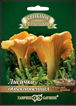 Мицелий грибов Лисички 15мл ц/п (Гавриш)