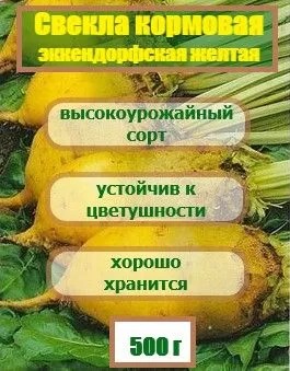 Свекла кормовая Желтая Эккендорфская фасовка 0,5кг (Ал.склад)