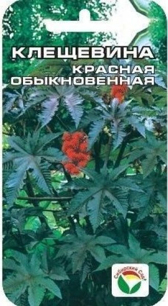 Клещевина Красная обыкновенная 5шт (СибСад)
