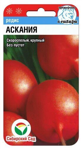 Редис Аскания 2г (СибСад)