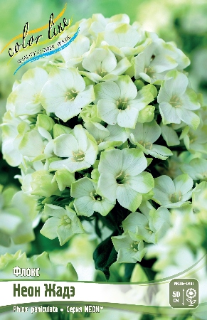 Флокс Неон Жаде 1шт (КолЛайн) 2шт/уп