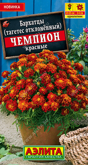 Бархатцы Чемпион красные 0,1г ц/п (Аэлита) 20см/4см