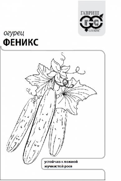 Огурец Феникс 0,5г б/п (Гавриш)