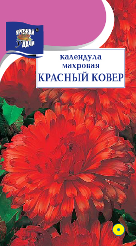 Календула Красный ковер махровая 0,3г ц/п (УУ)