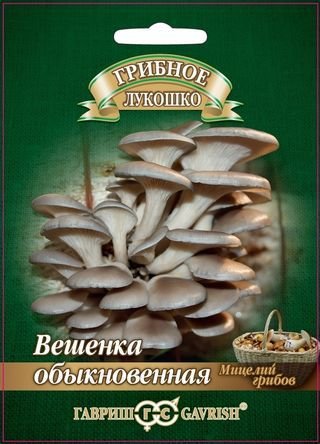 Мицелий грибов Вешенка Обыкновенная 12шт ц/п (Гавриш)