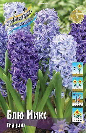 Гиацинт Блю Микс 14/15 1шт (КолЛайн) 3шт/уп