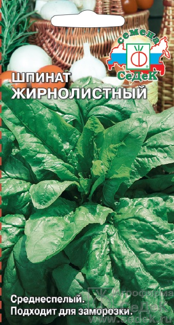 Шпинат Жирнолистный 2г ц/п (Седек)