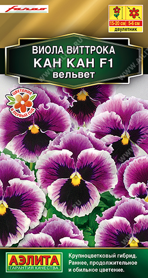 Виола Кан Кан Вельвет F1 7 шт ц/п (Аэлита)