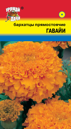 Бархатцы Гавайи 0,3г ц/п (УУ) прямостоячие 90см/10см