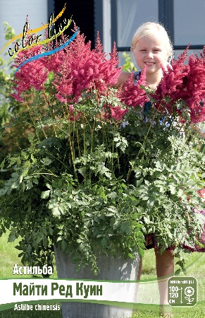 Астильба Ред 2/3  1шт (КолЛайн)