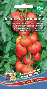 Томат Веселая Компания 20шт ц/п (УД) 150-240г,1,2-1,4м