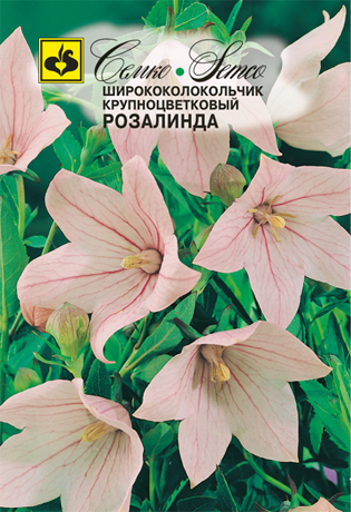 Ширококолокольчик Розалинда розовый крупный 0,05г (Семко)