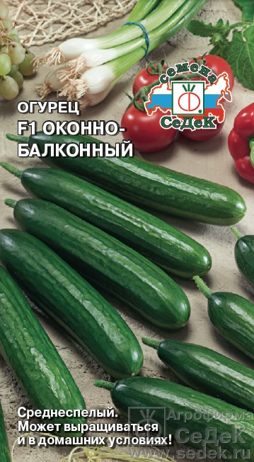 Огурец Оконно-балконный F1 0,2г ц/п (Седек) с/спелый, 14-15см