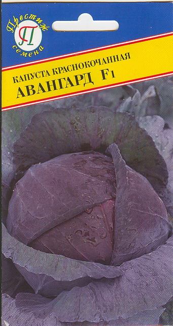 Капуста краснокочанная Авангард F1 15шт (Престиж) ср/сп, 2,2кг.