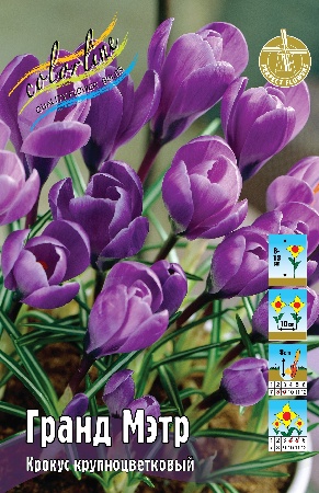 Крокус Гранд Мэтр 7/8 1шт (КолЛайн) 5шт/уп
