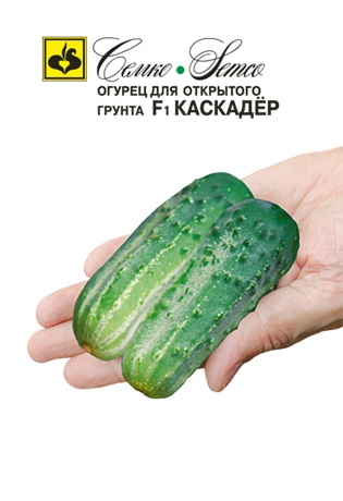Огурец Каскадер F1 1г (Семко) пчелоопыл