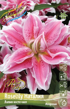 Лилия Roselily&Наталия 12/14 1шт (КолЛайн) 