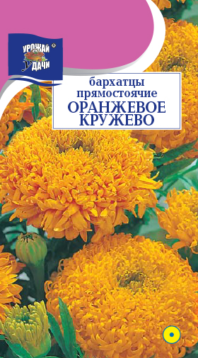 Бархатцы Оранжевое кружево 0,2г ц/п (УУ) прямостоячие 35/8