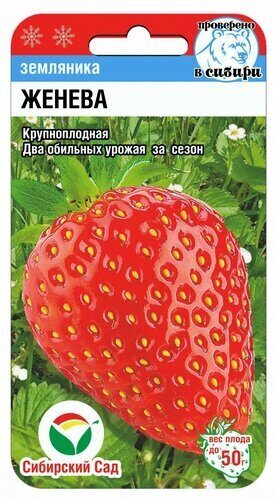 Земляника Женева 10шт (СибСад)