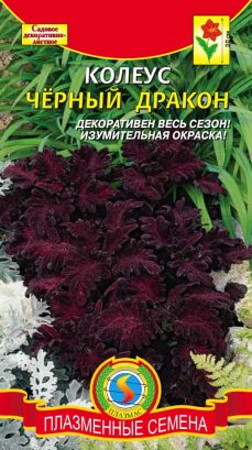 Колеус Черный дракон 10шт ц/п (ПлазмаС)